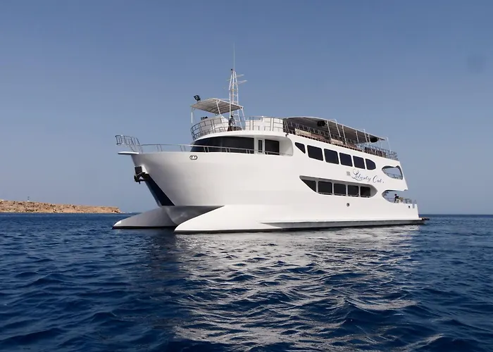Liberty Cat Botel